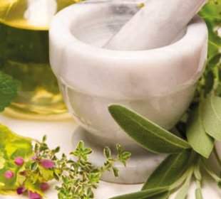 plante naturale pentru a crește pierderea în greutate