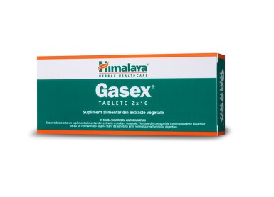 GASEX 20TBL
