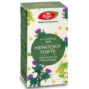 FARES HEPATOFIT FORTE 63 CAPSULE