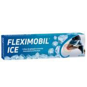FLEXIMOBIL ICE GEL 45G