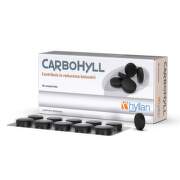 CARBOHYLL 40 COMPRIMATE HYLLAN