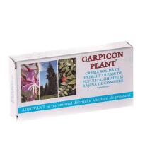 CARPICON PLANT CREMA CU EXTRACTE VEGETALE SI RASINA DE CONIFERE 10 BUC X 1.5G
