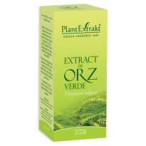 PLANTEXTRAKT EXTRACT ORZ VERDE 120ML