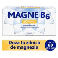 MAGNE B6 60 DRAJEURI